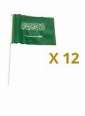12 حبة علم السعودية صغير يدوي وجه واحد 20×14 سم بعصا بلاس…